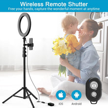 Load image into Gallery viewer, 9 inch Ring Light with Stand and Phone Holder, 50" Tripod with Remote
